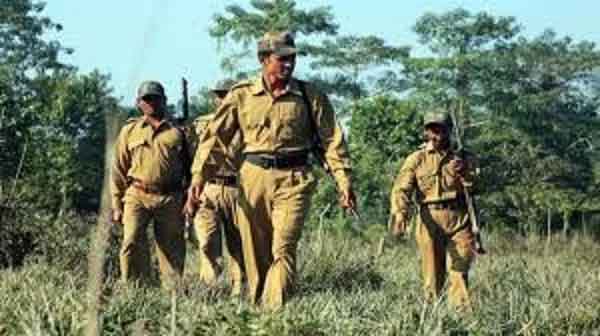 1100 पदों पर वन रक्षकों की भर्ती प्रक्रिया जल्द होगी शुरू, राज्य सरकार से मांगी अनुमति