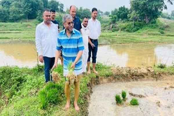 बाबूलाल ने अपने खेत में की धान रोपनी, कहा-आत्मिक संतोष और आनंद प्राप्त होता है