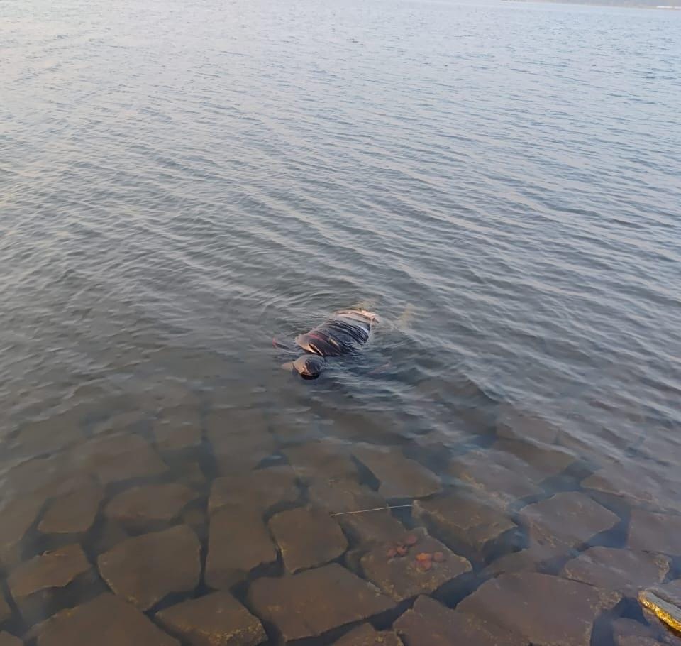 रांची : जज के सरकारी ड्राइवर का शव धुर्वा डैम से बरामद, मरने वालों की संख्या हुई चार