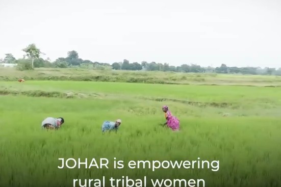 महिला सशक्तिकरण की मिसाल बनी  झारखंड की  ‘जोहार परियोजना’,  वर्ल्ड बैंक ने की सराहना