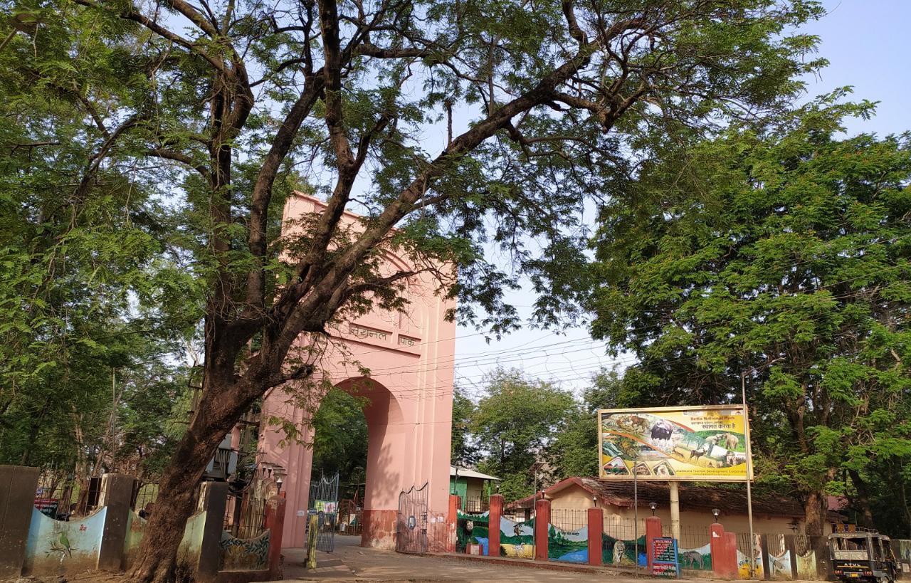 आज से तीन माह के लिए बेतला नेशनल पार्क में पर्यटकों की नो एंट्री, जानें कारण...