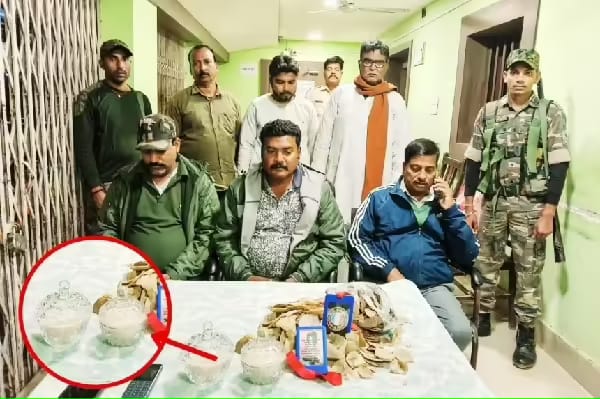 पलामू :  सांप के जहर की तस्करी करने वाले गिरोह का भंडाफोड़, 100 करोड़ का जहर और पैंगोलिन शल्क जब्त