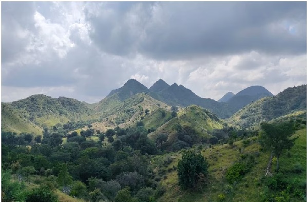 अरावली पर फैसला :  यह न्यायिक विवेक नहीं, बल्कि न्यायिक पलायन है