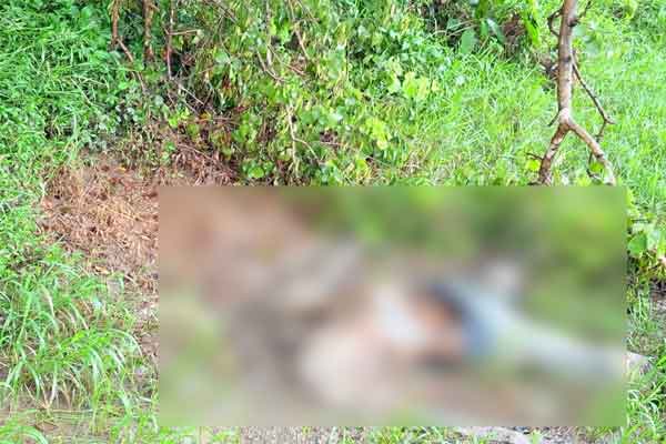 रांची :  कांची नदी के किनारे सड़ी-गली अवस्था में शव बरामद, शिनाख्त में जुटी पुलिस