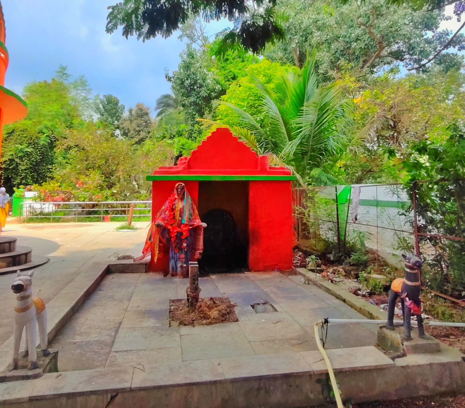 Uploaded Image