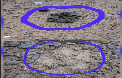 रातू के सिमलिया में मिले तेंदुए के पंजे के निशान और मल! लोगों में दहशत