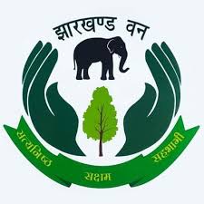हजारीबाग वन विभाग की जांच रिपोर्ट पर विवाद, बिना साक्ष्य सहायक वन संरक्षकों पर कार्रवाई की तैयारी, सरकार ने मांगा जवाब