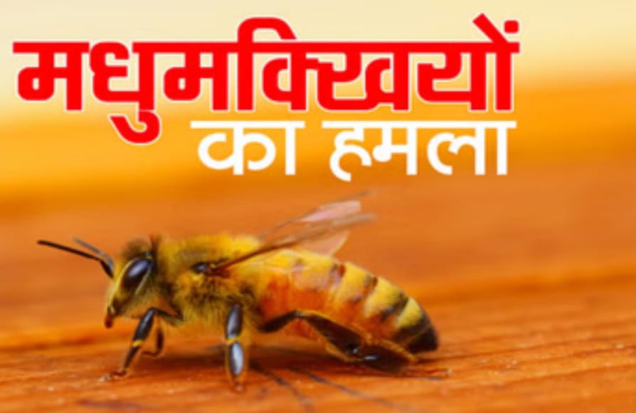 बहरागोड़ा :  मधुमक्खी के हमले से 62 वर्षीय व्यक्ति की मौत, परिवार में मातम