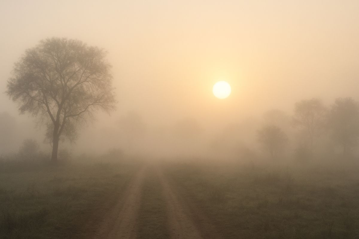 झारखंड का तापमान तेजी से हो रहा अप-डाउन, कई जिलों में घने कोहरे का अलर्ट