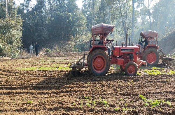 लातेहार पुलिस ने 3 एकड़ में लगी अवैध अफीम की खेती को किया नष्ट, तस्करों की पहचान जारी