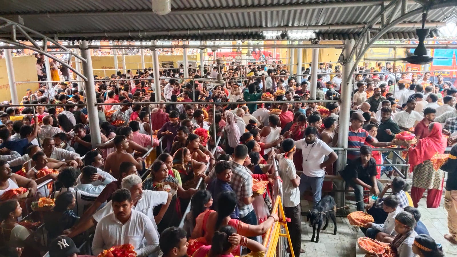 तेज बारिश में भी दिखी आस्था, रजरप्पा मंदिर में उमड़ी श्रद्धालुओं की भीड़