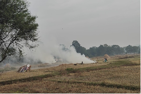 झारखंड में पराली संकट की दस्तक : समय रहते नहीं चेते तो जहरीले धुएं के साए में होंगे!