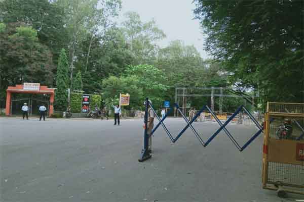 Uploaded Image