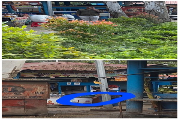 रांची के मोरहाबादी स्थित वेंडर मार्केट में नशेड़ियों का अड्डा, निगम के दावे पर उठे सवाल