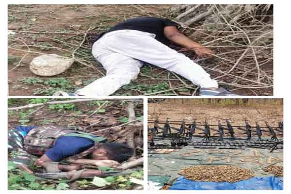 झारखंड में हर माह 3 एनकाउंटर, आठ महीनों में 23 नक्सली और 3 अपराधी मारे गए