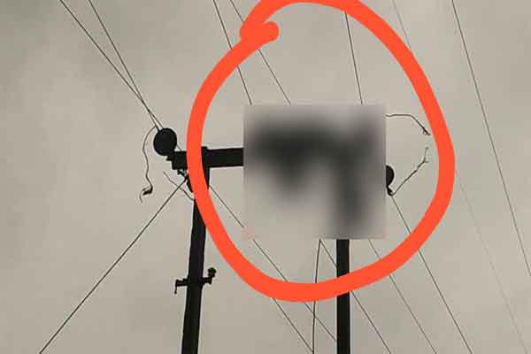 रांची :   करंट लगने से बिजली मिस्त्री की मौत, ग्रामीणों ने विभाग पर लगाया लापरवाही का आरोप