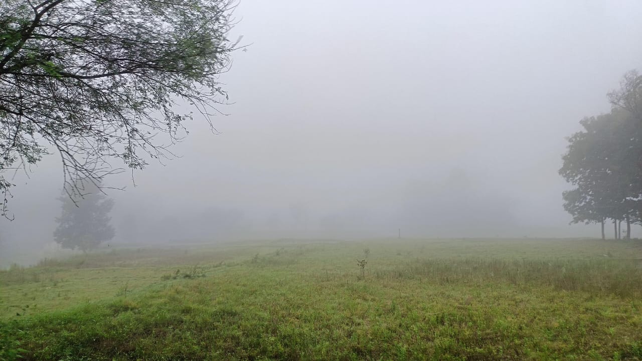 पलामू में मौसम ने ली करवट, कोहरे के साये में ढकी सुबह