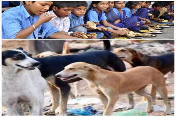 सीतामढ़ी :शिक्षा विभाग का गजब फरमान, कुत्तों की पहरेदारी करेंगे सरकारी शिक्षक