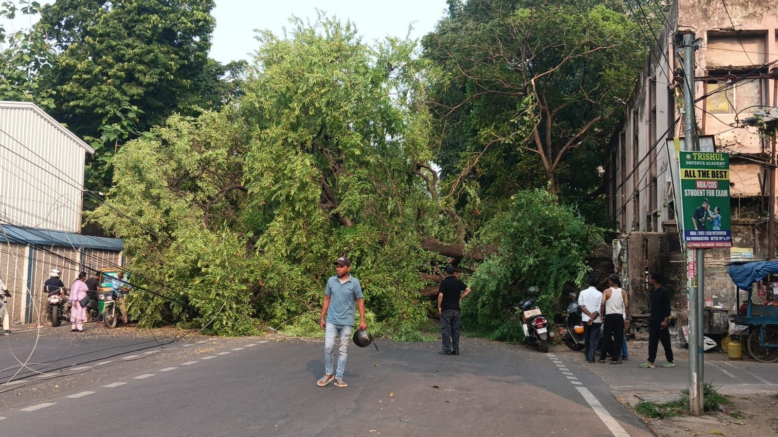 पुरुलिया रोड पर गिरा विशालकाय पेड़, बिजली की तार भी टूटी, आवागमन बाधित