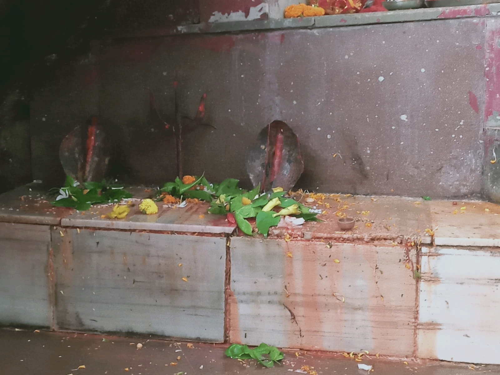 प्राचीन शेषनाग गुफा अब भी उपेक्षित, नहीं हुआ कोई ठोस निर्माण कार्य