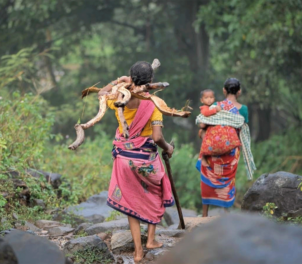 झारखंड में घटी महिलाएं, सिर्फ एक जिला छोड़ सभी में पुरूषों की अपेक्षा कम है संख्या