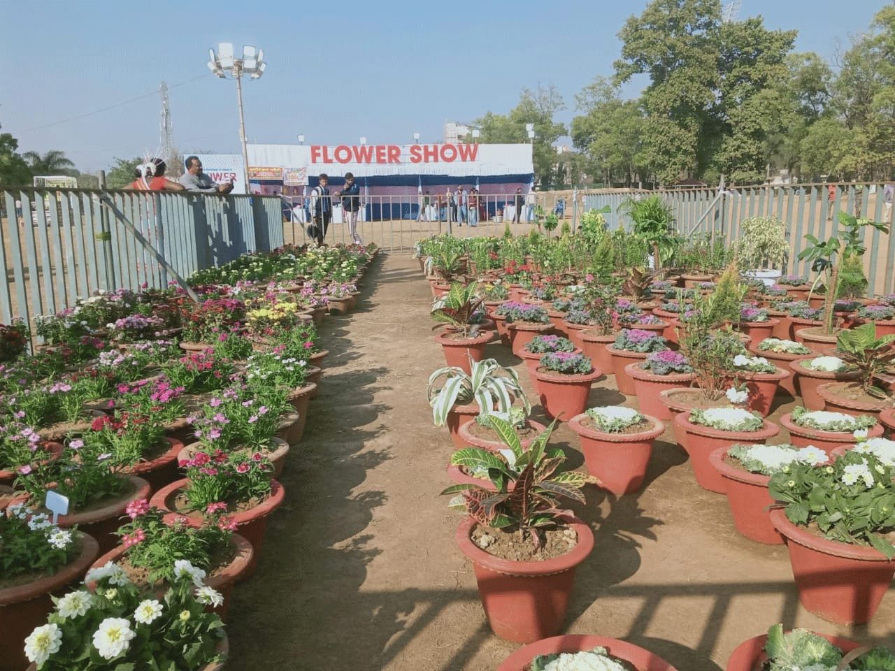 पर्यावरण संरक्षण से ही सुरक्षित होगा भविष्य : संजीव कुमार