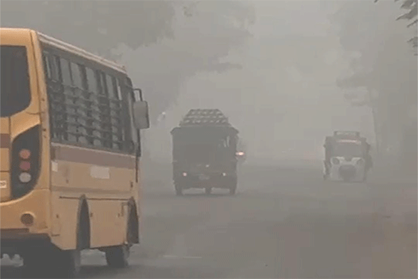 पलामू: बढ़ती ठंड में कोहरे का कहर, विजिबिलिटी कम होने से जनजीवन प्रभावित