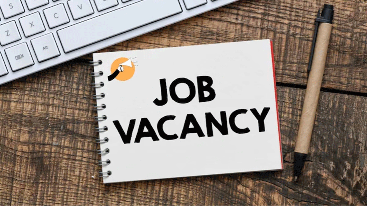 JOB  ALERT : बिहार में ग्रेजुएट युवाओं के लिए नौकरी का मौका, BSSC ने निकाली   वेंकेसी