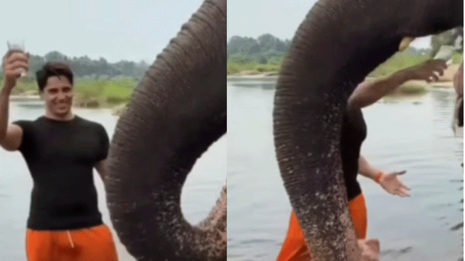 हाथी को जूठा पानी पिलाने पर ट्रोल हुए सिद्धार्थ मल्होत्रा, वीडियो हुआ वायरल
