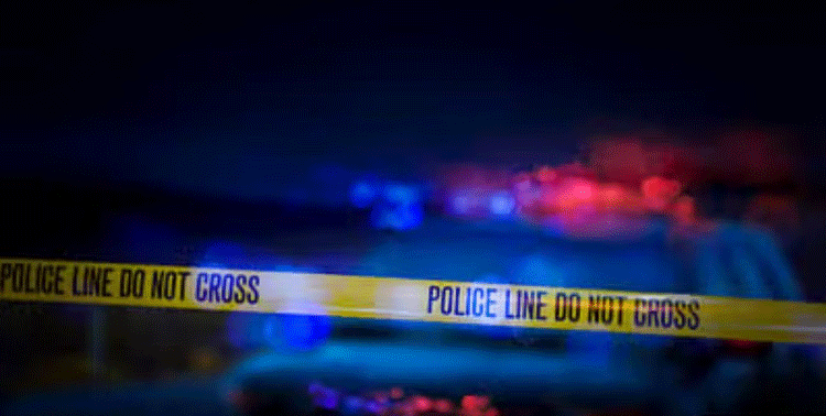 भोजपुर :  तेज रफ्तार हाइवा ने ई-रिक्शा को टक्कर मारी, चालक की मौत