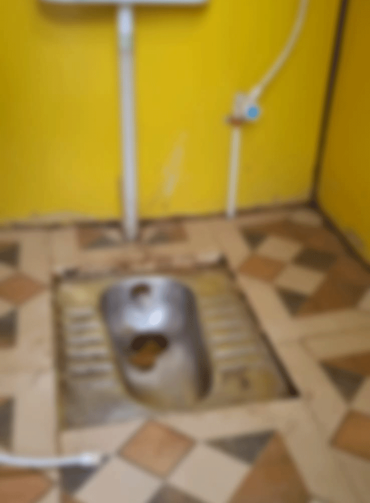 Uploaded Image