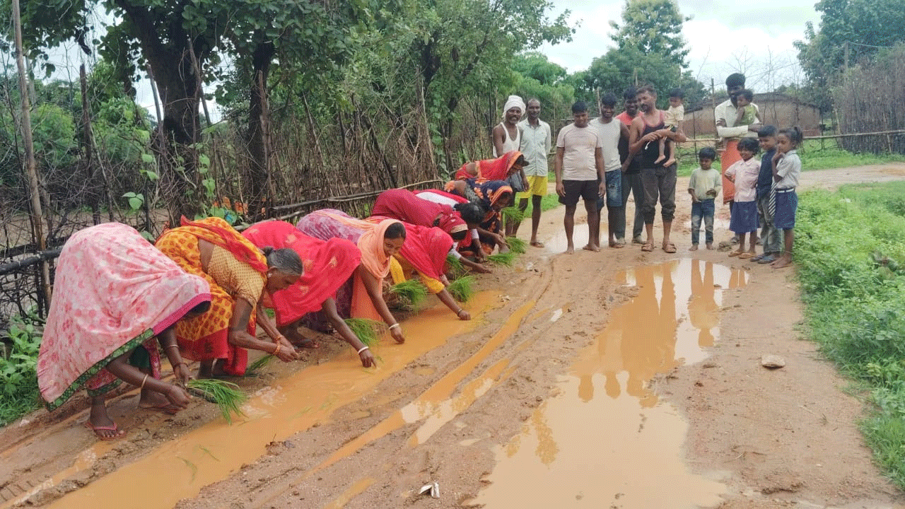 लातेहार :  ग्रामीणों का अनोखा विरोध,  जर्जर सड़क पर की धान रोपाई