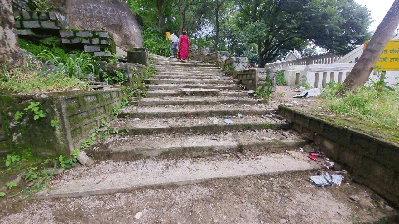 Uploaded Image