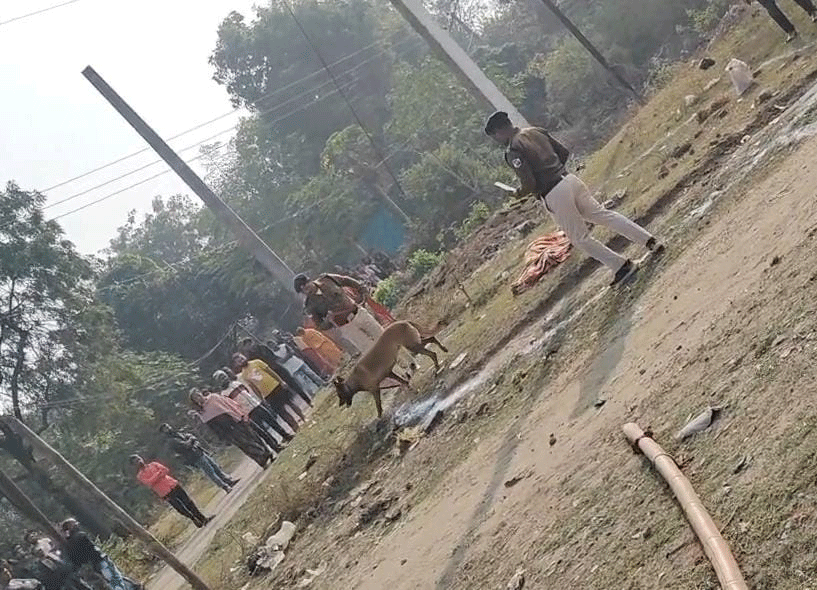 धनबाद : किशोर की हत्या से हड़कंप, 3 हिरासत में