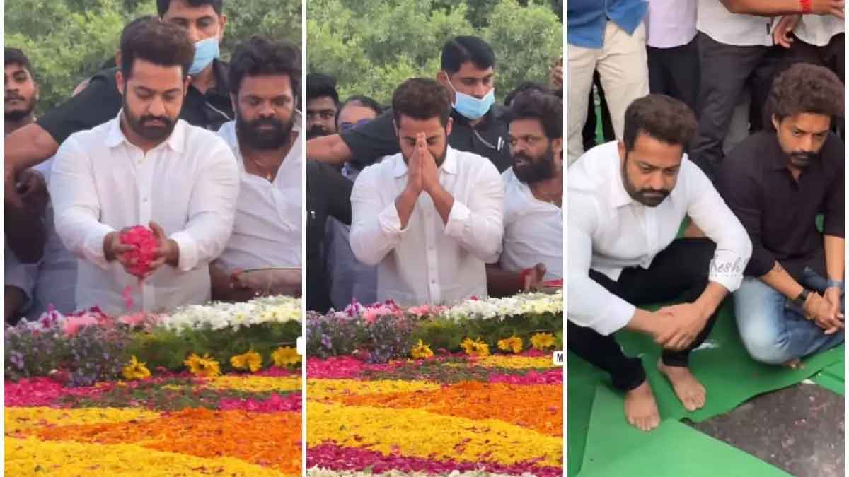 दादा को श्रद्धांजलि देने एनटीआर घाट पहुंचे जूनियर एनटीआर, वीडियो वायरल