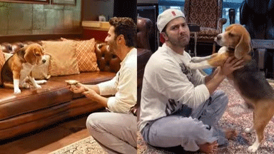 वरुण धवन के पालतू कुत्ते एंजेल का निधन, शेयर किया इमोशनल नोट