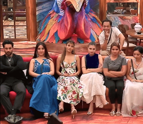 Bigg Boss 19 :   नॉमिनेशन टास्क में भिड़े कंटेस्टेंट्स, नेहल ने जीशान को किया नॉमिनेट