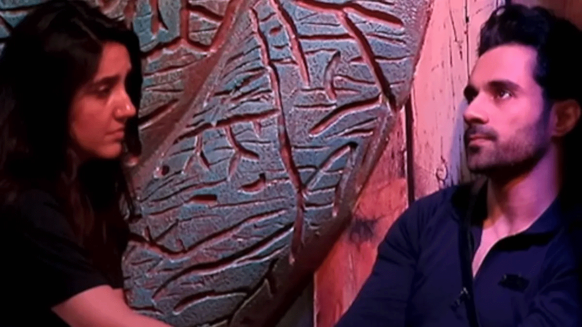 Bigg Boss 19 : अशनूर -अभिषेक की बढ़ती नजदीकियां चर्चा में, एक्टर ने सुनाया दिल का हाल