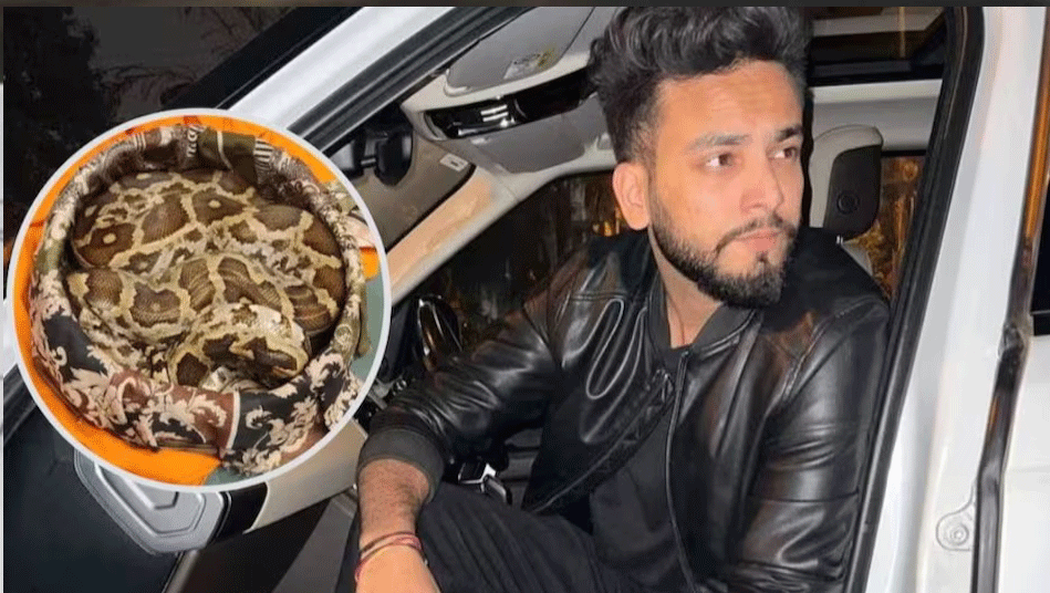 एल्विश यादव को सांप के जहर मामले में SC से बड़ी राहत, गिरफ्तारी पर रोक