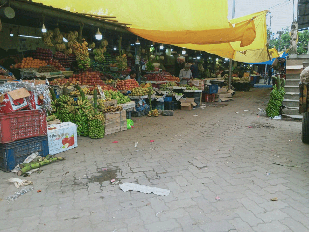 Uploaded Image