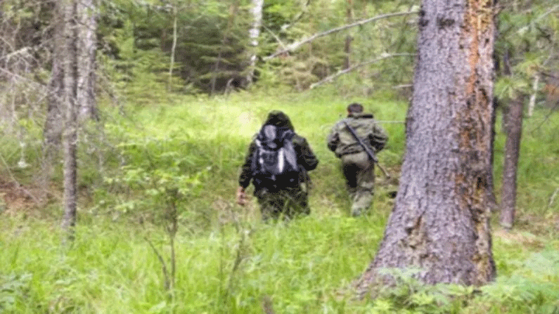 कैसे होगी जंगल की सुरक्षाः झारखंड में IFS  के 67 और रेंजर के 333 पद हैं रिक्त