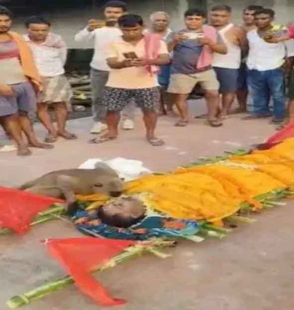 एक शख्स की मौत पर अंतिम यात्रा में शामिल हुआ बंदर, फफक-फफक कर रोया