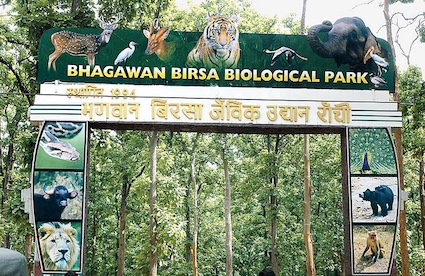 बिरसा मुंडा चिड़ियाघर से रेंजर राम बाबू को हटाया गया