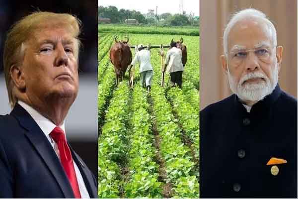 कमाई की रईसों ने, भुगतेंगे अन्नदाता किसान