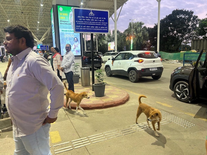 रांची एयरपोर्टः हर बात के लिए पैसा और कुत्तों का आतंक