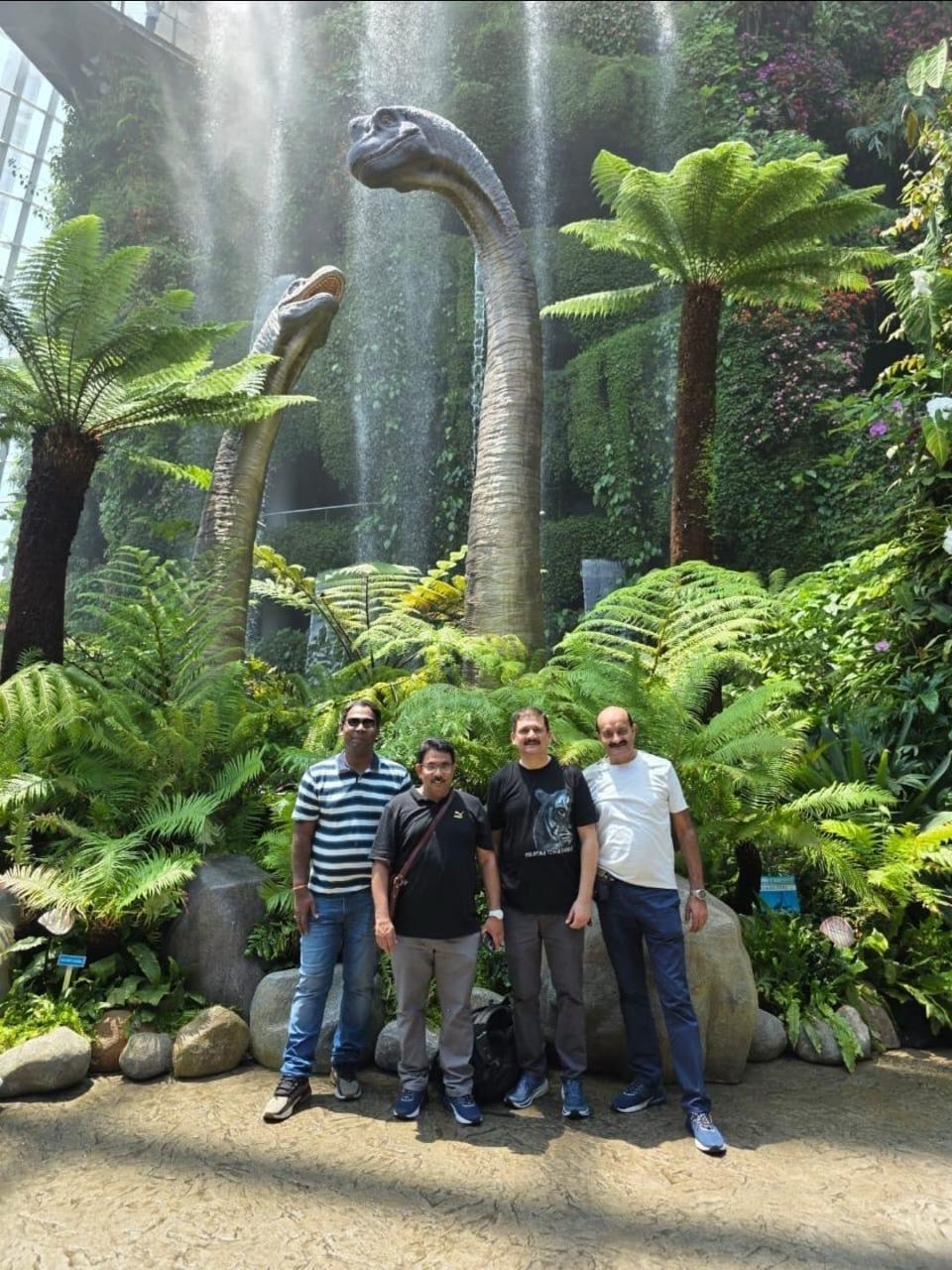 Uploaded Image